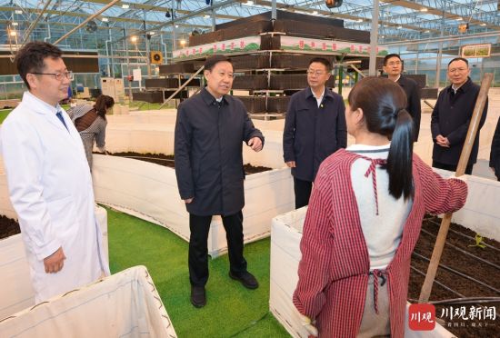 3月17日,省委书记、省人大常委会主任王晓晖到沐川县魔芋科技示范园调研,了解魔芋产量、精深加工、市场拓展等情况。 3月17日,省委书记、省人大常委会主任王晓晖到沐川县魔芋科技示范园调研,了解魔芋产量、精深加工、市场拓展等情况。